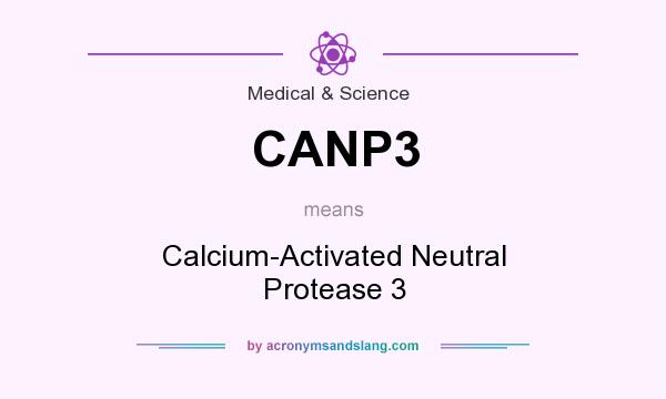 What does CANP3 mean? It stands for Calcium-Activated Neutral Protease 3