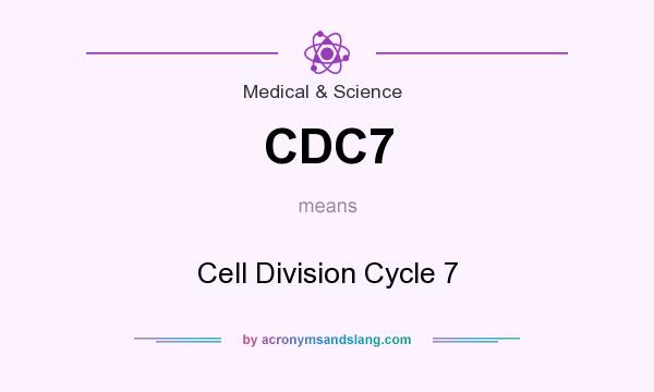 What does CDC7 mean? It stands for Cell Division Cycle 7