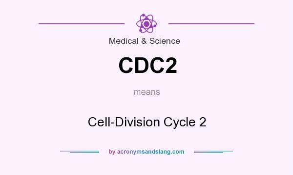 What does CDC2 mean? It stands for Cell-Division Cycle 2