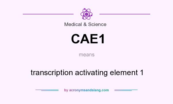 What does CAE1 mean? It stands for transcription activating element 1