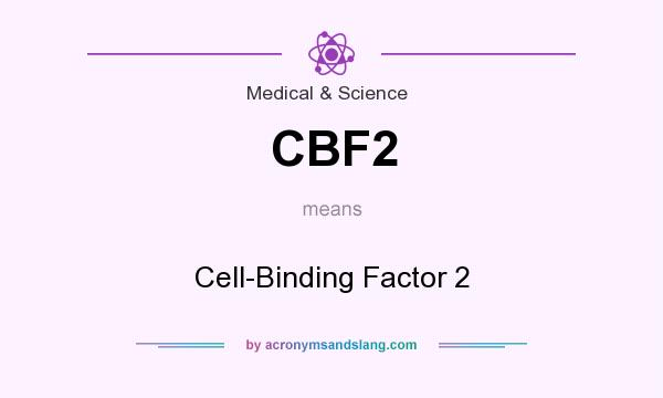 What does CBF2 mean? It stands for Cell-Binding Factor 2