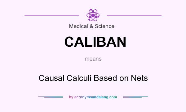 What does CALIBAN mean? It stands for Causal Calculi Based on Nets