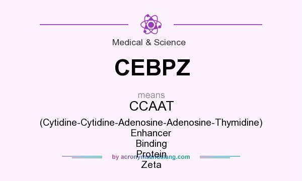 What does CEBPZ mean? It stands for CCAAT (Cytidine-Cytidine-Adenosine-Adenosine-Thymidine) Enhancer Binding Protein Zeta