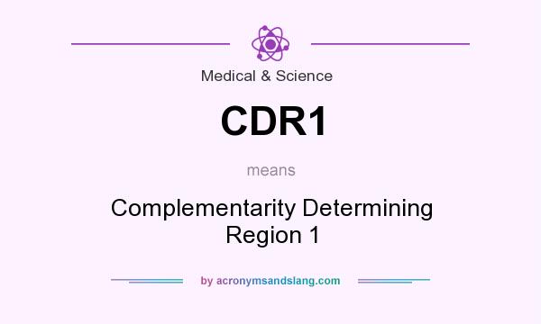 What does CDR1 mean? It stands for Complementarity Determining Region 1