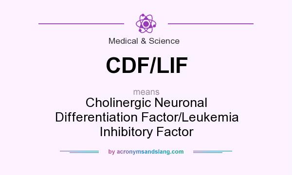 What does CDF/LIF mean? It stands for Cholinergic Neuronal Differentiation Factor/Leukemia Inhibitory Factor