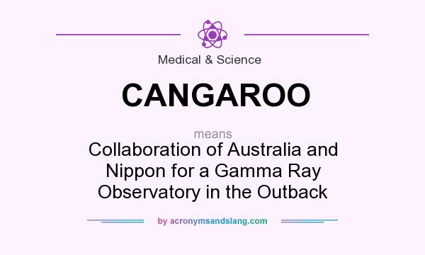What does CANGAROO mean? It stands for Collaboration of Australia and Nippon for a Gamma Ray Observatory in the Outback