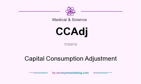 What does CCAdj mean? It stands for Capital Consumption Adjustment