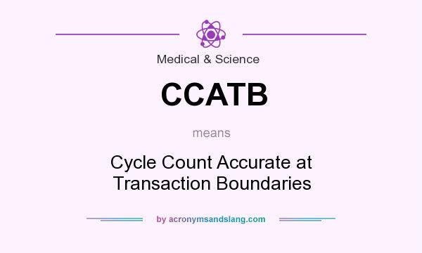 What does CCATB mean? It stands for Cycle Count Accurate at Transaction Boundaries