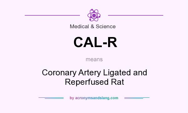 What does CAL-R mean? It stands for Coronary Artery Ligated and Reperfused Rat