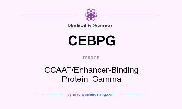 What does CEBPG mean? It stands for CCAAT/Enhancer-Binding Protein, Gamma