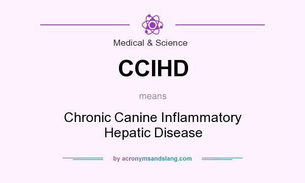 What does CCIHD mean? It stands for Chronic Canine Inflammatory Hepatic Disease