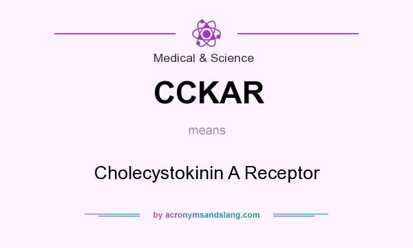 What does CCKAR mean? It stands for Cholecystokinin A Receptor