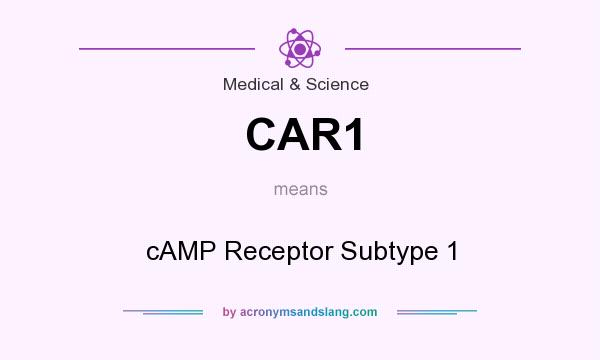 What does CAR1 mean? It stands for cAMP Receptor Subtype 1