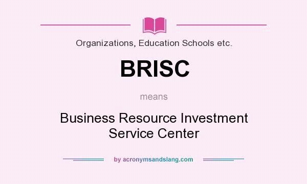 What does BRISC mean? It stands for Business Resource Investment Service Center