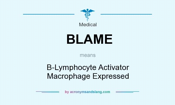 What does BLAME mean? It stands for B-Lymphocyte Activator Macrophage Expressed