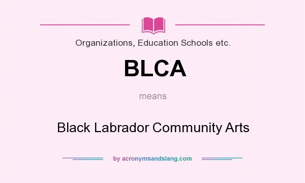 What does BLCA mean? It stands for Black Labrador Community Arts