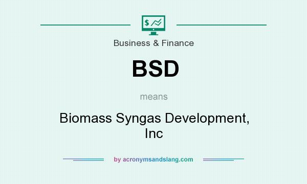 What does BSD mean? It stands for Biomass Syngas Development, Inc