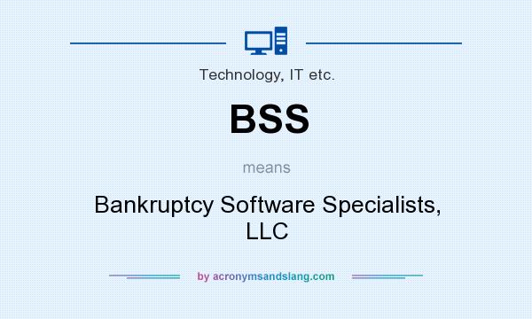 What does BSS mean? It stands for Bankruptcy Software Specialists, LLC