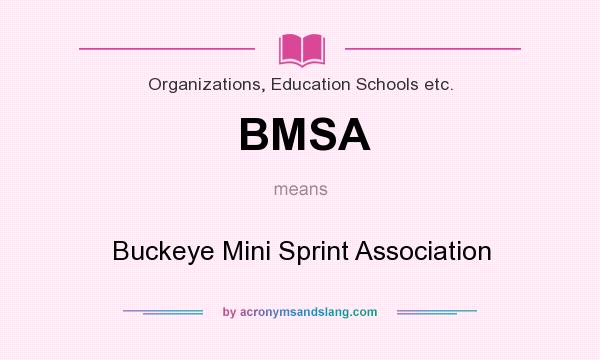 What does BMSA mean? It stands for Buckeye Mini Sprint Association