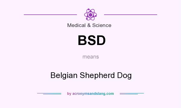 What does BSD mean? It stands for Belgian Shepherd Dog