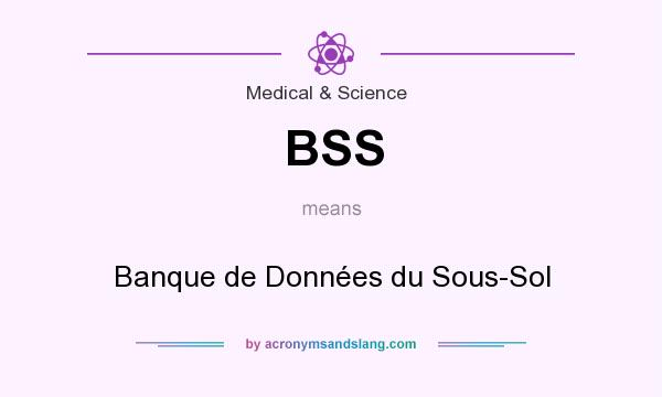 What does BSS mean? It stands for Banque de Données du Sous-Sol
