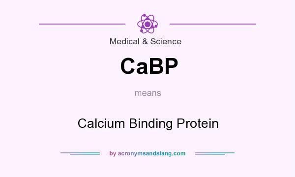 What does CaBP mean? It stands for Calcium Binding Protein