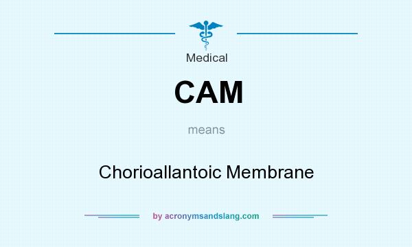What does CAM mean? It stands for Chorioallantoic Membrane