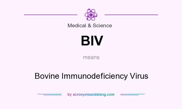 What does BIV mean? It stands for Bovine Immunodeficiency Virus
