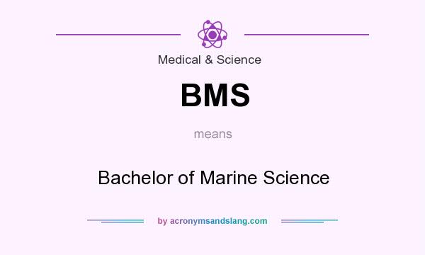 What does BMS mean? It stands for Bachelor of Marine Science