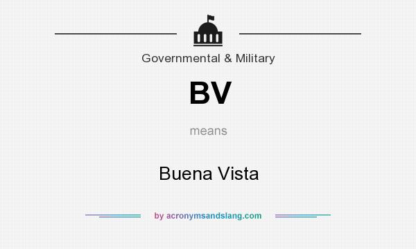 What does BV mean? It stands for Buena Vista