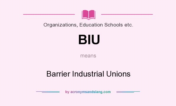 What does BIU mean? It stands for Barrier Industrial Unions