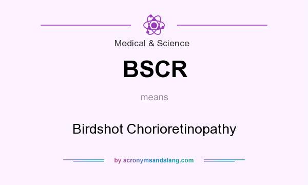 What does BSCR mean? It stands for Birdshot Chorioretinopathy