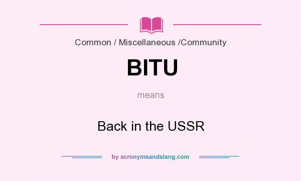 What does BITU mean? It stands for Back in the USSR