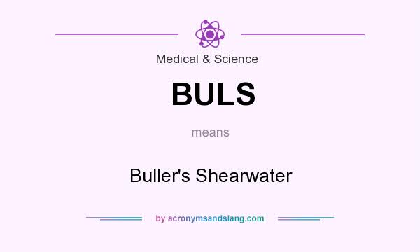 What does BULS mean? It stands for Buller`s Shearwater