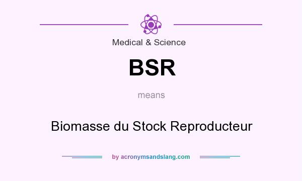 What does BSR mean? It stands for Biomasse du Stock Reproducteur