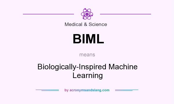 What does BIML mean? It stands for Biologically-Inspired Machine Learning