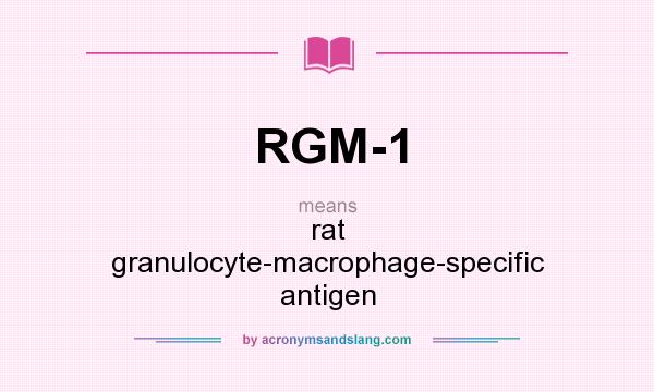 What does RGM-1 mean? It stands for rat granulocyte-macrophage-specific antigen