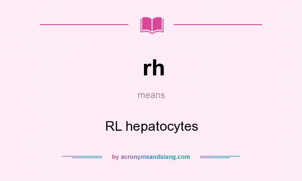 What does rh mean? It stands for RL hepatocytes