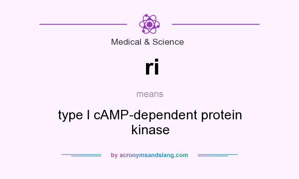 What does ri mean? It stands for type I cAMP-dependent protein kinase