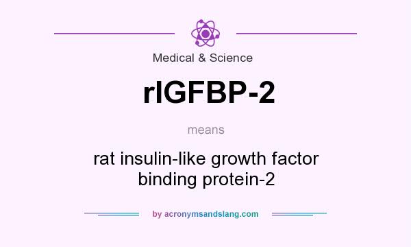 What does rIGFBP-2 mean? It stands for rat insulin-like growth factor binding protein-2