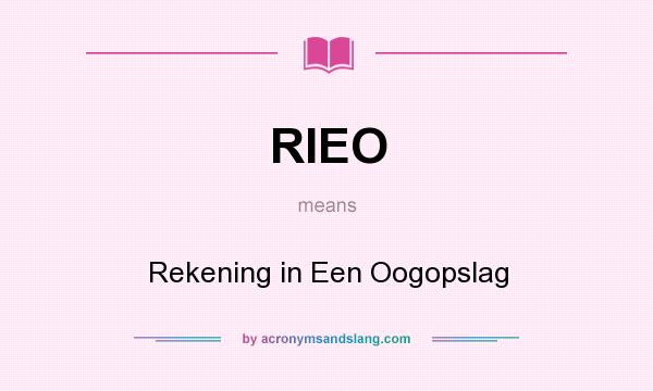 What does RIEO mean? It stands for Rekening in Een Oogopslag