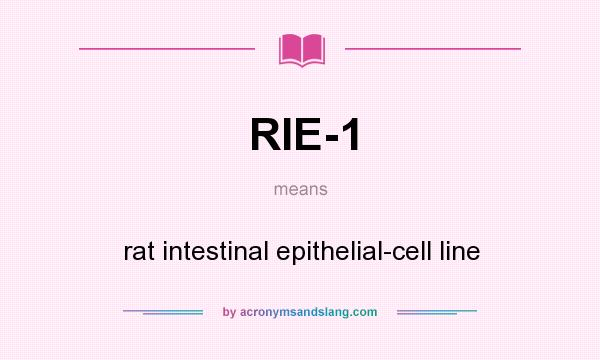 What does RIE-1 mean? It stands for rat intestinal epithelial-cell line