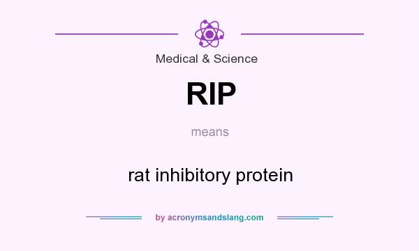 What does RIP mean? It stands for rat inhibitory protein