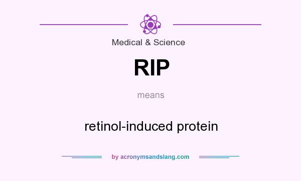 What does RIP mean? It stands for retinol-induced protein