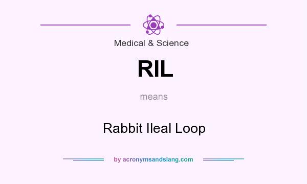 What does RIL mean? It stands for Rabbit Ileal Loop