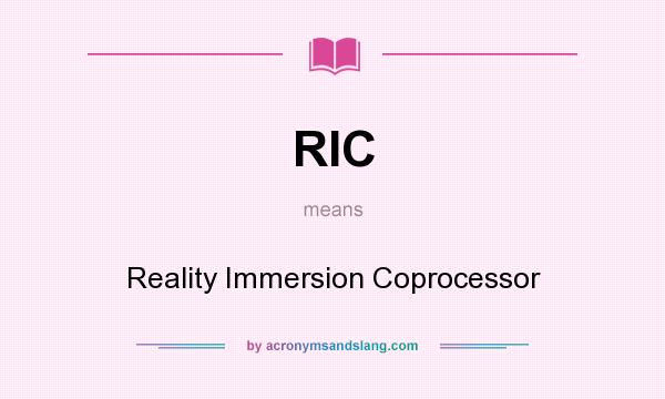 What does RIC mean? It stands for Reality Immersion Coprocessor