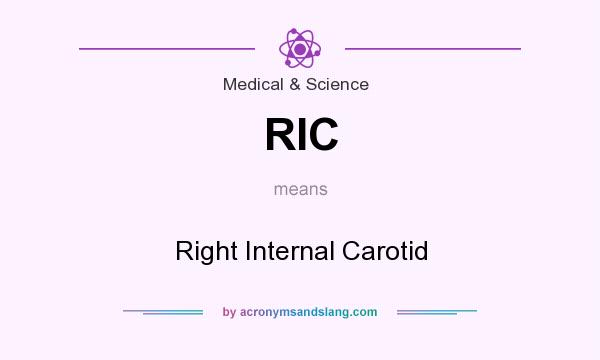 What does RIC mean? It stands for Right Internal Carotid