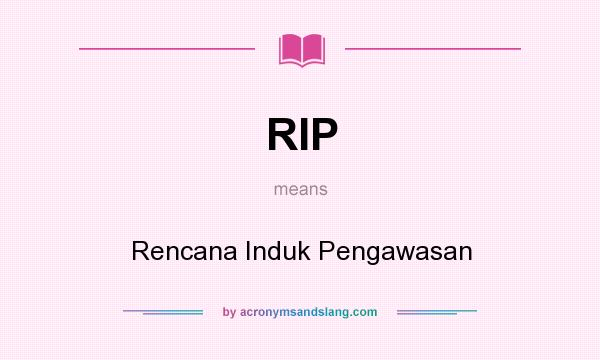 What does RIP mean? It stands for Rencana Induk Pengawasan