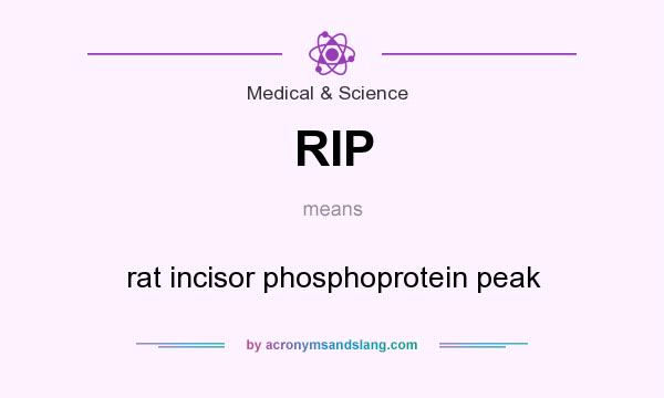 What does RIP mean? It stands for rat incisor phosphoprotein peak