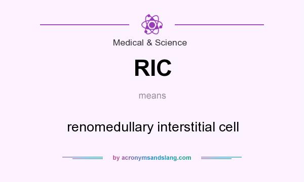 What does RIC mean? It stands for renomedullary interstitial cell